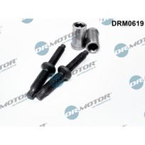 Purkštuko tarpinių rinkinys Dr.Motor Automotive DRM0619