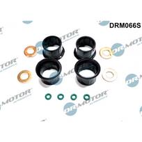 Purkštuko tarpinių rinkinys Dr.Motor Automotive DRM066S