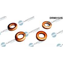 Purkštuko tarpinių rinkinys Dr.Motor Automotive DRM0151S