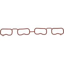 Įsiurbimo kolektoriaus tarpinė REINZ 71-17911-00