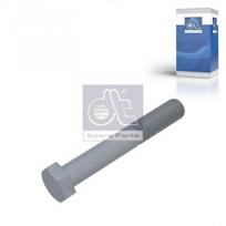 Stabilizatoriaus tvirtinimo varžtas DT 6.89007