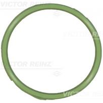 Įsiurbimo kolektoriaus tarpinė REINZ 71-18339-00