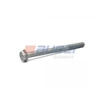 Stabilizatoriaus tvirtinimo varžtas AUGER 72316