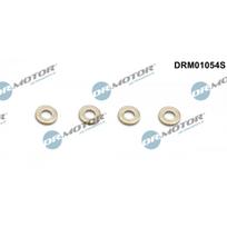 Purkštuko tarpinių rinkinys Dr.Motor Automotive DRM01054S