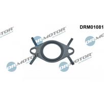 EGR vožtuvo vamzdelio tarpinė Dr.Motor Automotive DRM01081