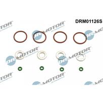 Purkštuko tarpinių rinkinys Dr.Motor Automotive DRM01126S