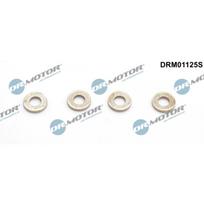 Purkštuko tarpinių rinkinys Dr.Motor Automotive DRM01125S