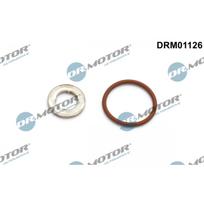 Purkštuko tarpinių rinkinys Dr.Motor Automotive DRM01126
