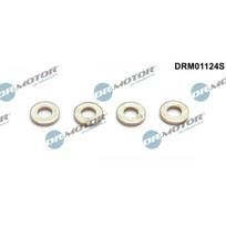 Purkštuko tarpinių rinkinys Dr.Motor Automotive DRM01124S