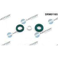 Purkštuko tarpinių rinkinys Dr.Motor Automotive DRM01165