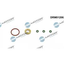 Purkštuko tarpinių rinkinys Dr.Motor Automotive DRM01206