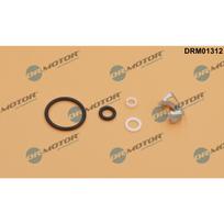 Purkštuko tarpinių rinkinys Dr.Motor Automotive DRM01312