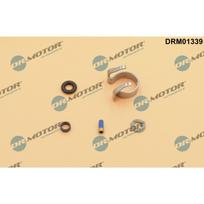 Purkštuko tarpinių rinkinys Dr.Motor Automotive DRM01339