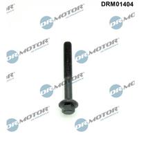 Purkštuko antgalio laikiklio varžtas Dr.Motor Automotive DRM01404