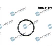 EGR vožtuvo vamzdelio tarpinė Dr.Motor Automotive DRM01471