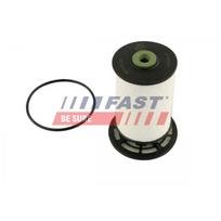 Kuro filtras FAST FT39307