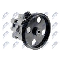 Vairo sistemos hidraulinis siurblys NTY SPW-CH-006