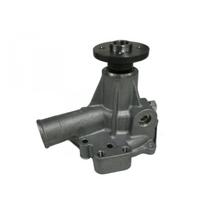 Vandens siurblys, variklio aušinimas AISIN WPW-009