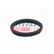Įsiurbimo kolektoriaus tarpinė FAST FT49407