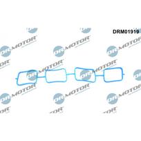 Įsiurbimo kolektoriaus tarpinė Dr.Motor Automotive DRM01919