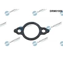 EGR vožtuvo vamzdelio tarpinė Dr.Motor Automotive DRM01956