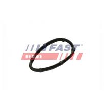Išmetimo kolektoriaus tarpinė FAST FT49457