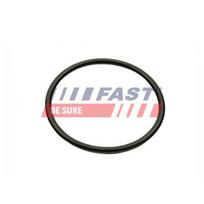 Įsiurbimo kolektoriaus tarpinė FAST FT49460