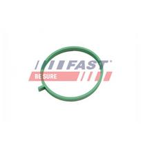 Įsiurbimo kolektoriaus tarpinė FAST FT49472