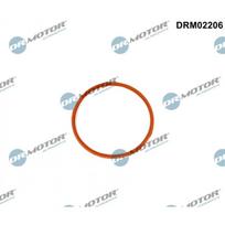Įsiurbimo kolektoriaus tarpinė Dr.Motor Automotive DRM02206