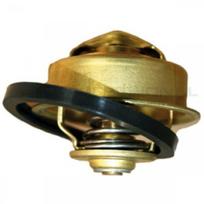Aušinimo skysčio termostatas Professional Parts 26433307