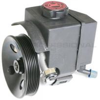 Hidraulinis siurblys, vairo sistema Professional Parts 61430195