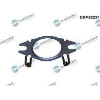 EGR vožtuvo vamzdelio tarpinė Dr.Motor Automotive DRM02237