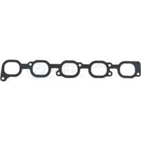 Įsiurbimo kolektoriaus tarpinė Professional Parts 21435055