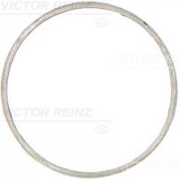 Išmetimo kolektoriaus tarpinė REINZ 71-20611-00