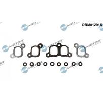 Įsiurbimo kolektoriaus tarpiklių rinkinys Dr.Motor Automotive DRM01291S