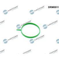 EGR vožtuvo vamzdelio tarpinė Dr.Motor Automotive DRM0911