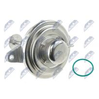 ERG vožtuvas NTY EGR-PL-002