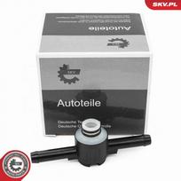 Kuro filtro vožtuvas ESEN SKV 96SKV413