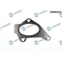 Įsiurbimo kolektoriaus tarpinė Dr.Motor Automotive DRM02534