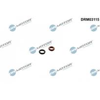 Purkštuko tarpinių rinkinys Dr.Motor Automotive DRM03115