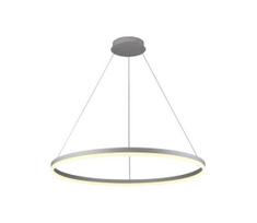 Brilagi - LED reguliuojamas pakabinamas šviestuvas ant laido CIRCLE LED/55W/230V 3000-6500K sidabras + nuotolinis pultas
