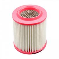 Oro filtras Castrol Filters CA0578