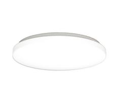 LED vonios kambario lubų šviestuvas, 32 W, 230 V, 3000/4000/6500 K (keičiama spalvos temperatūra), Ø 37,6 cm, IP44, balta