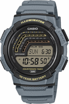 Vyriškas Laikrodis CASIO COLLECTION WS-1800-2AVEF