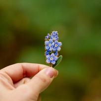 Neužmirštuolė Kietas Emalio Smeigtukas Pavasario Gėlės Sagė Dovanos Gėlių Mėgėjams Botaninis Ženklelis Gamtos Papuošalas Aksesuaras