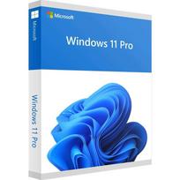 "Microsoft Windows 11 Pro OEM", originalios įrangos gamintojas (OEM), 1 licencija (-os), 64GB, 4096GB, 1000 GHz, anglų kalba