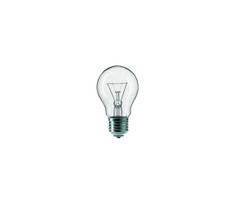 Pramoninė lemputė CLEAR E27/100W/240V