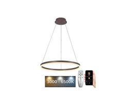 Brilagi - reguliuojamas LED pakabinamas šviestuvas ant laido CIRCLE LED/42W/230V 3000-6500K rudas+nuotolinis pultelis