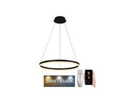 Brilagi - LED reguliuojamas pakabinamas šviestuvas ant laido CIRCLE LED/42W/230V 3000-6500K + su nuotoliniu pulteliu