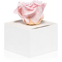 RoseAmor Pink stabilizuota rožė dėžutėje 1 vnt.
